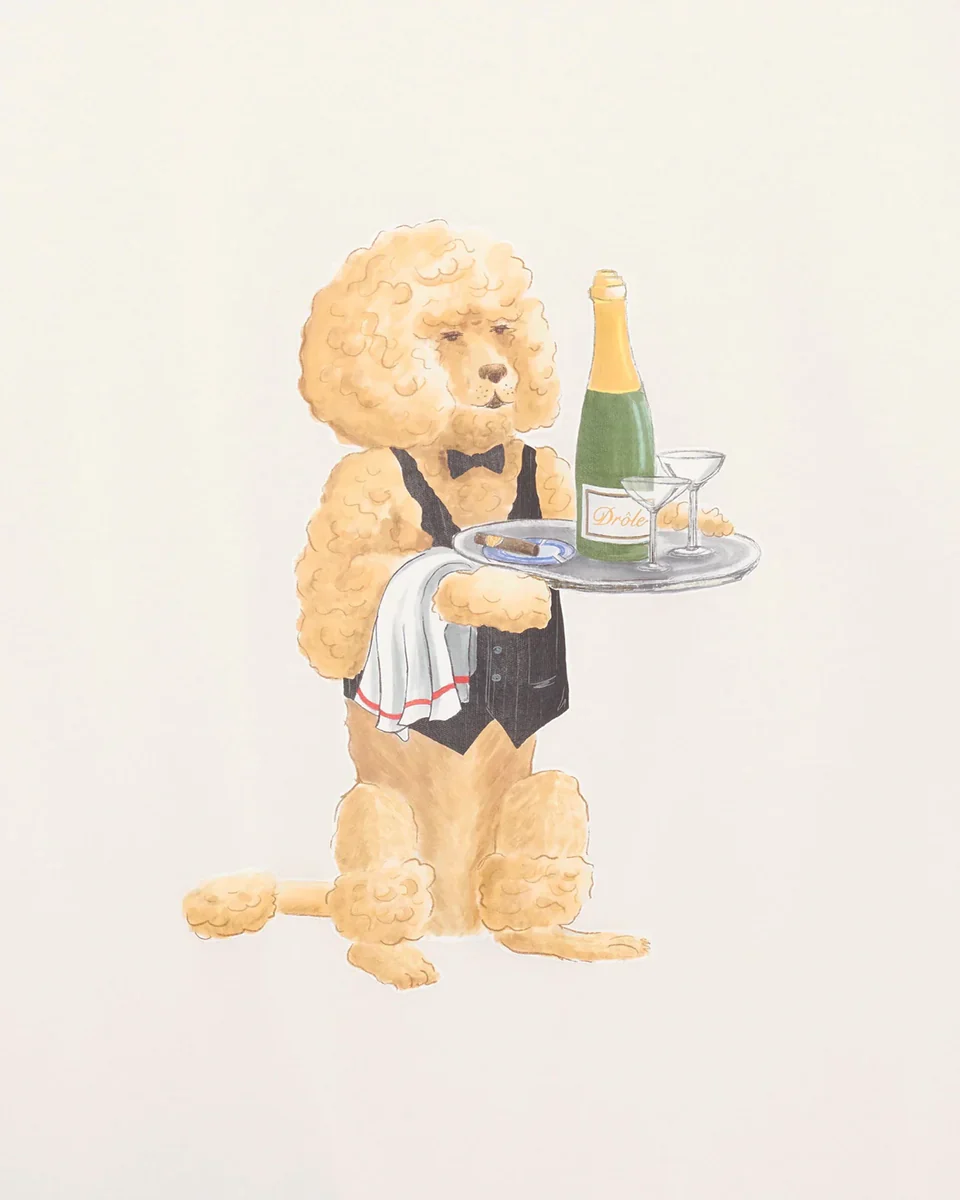 Drôle de Monsieur Poodle Tee - Off White - Image 2
